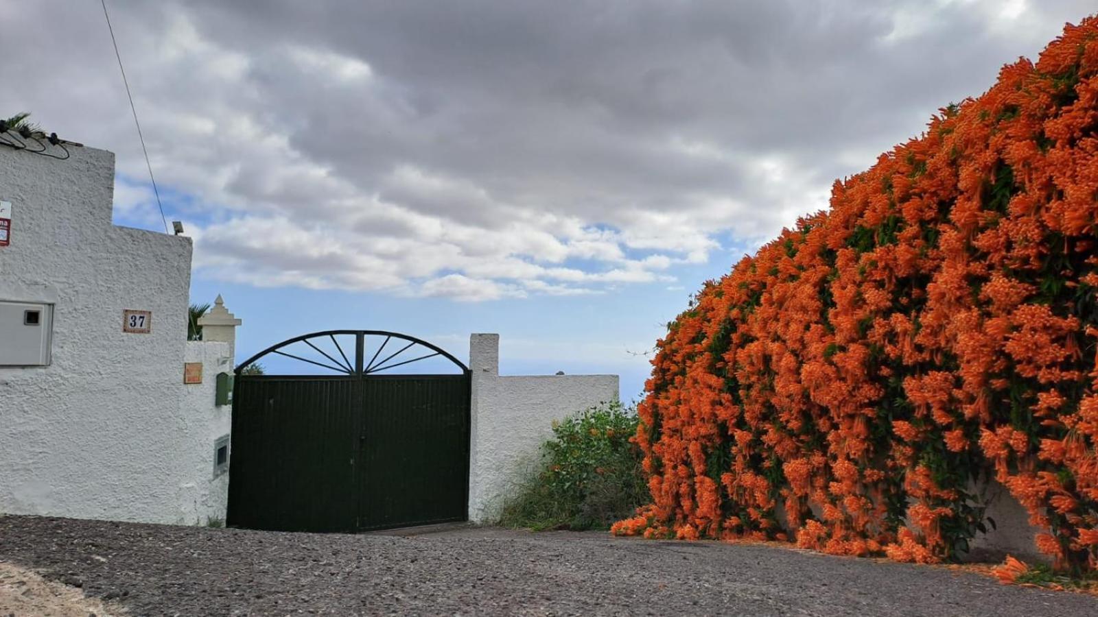 Apartamento Lo mejor de la montaña, Vista Bonita San Miguel de Abona Exterior foto